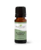 Buy 100% Pure Eucalyptus Globulus Essential Oil 10 mL - Therapeutic Grade for Diffuser Skin & Hair Aromatherapy DIYs | International Shipping - Buy Online on GoSupps.com