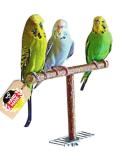 Handmade Approach Aid & Approach Bar for Bird Cages | Natural Wood Bird Accessories - International Shipping - Buy Online on GoSupps.com