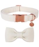 DogWong Adjustable Dog Collar with Removable Fly - Comfortable & Stylish White Pet Collar for Small to X-Large Dogs - Perfect Gift for Girls - Buy Online on GoSupps.com