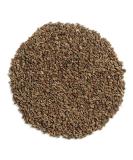 Frontier Co-op Organic Whole Celery Seed 1lb - Premium Quality Organic Celery Seed - Buy Online on GoSupps.com