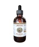 HawaiiPharm Skullcap Natural Alcohol-Free Liquid Extract 2 oz - Pet Herbal Supplement - Buy Online on GoSupps.com