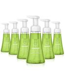 Method Foaming Hand Soap Green Tea + Aloe 10 Fl Oz (Pack of 6) - Refreshing Scent, Gentle Cleansing Formula | Eco-Friendly Packaging - Buy Online on GoSupps.com