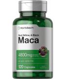 Horbäach Maca Root Capsules High Potency Extract for Men and Women Non-GMO and Gluten Free Formula 4800mg - 120 Capsule - Buy Online on GoSupps.com