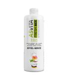 Asvita Sugar-Free Beverage Syrup | Fresh Mix Apple Mint 1L | 26 Delicious Flavors for International Shipping - Buy Online on GoSupps.com