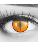 Buy Highly Opaque Orange Demon Nezuko Cat Colored Contact Lenses - Perfect for Cosplay & Halloween - Includes Free Lens Container - 1 Pair - Buy Online on GoSupps.com