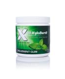 Xyloburst Xylitol Chewing Gum - Spearmint Flavor (150g, 100 Pieces) - Sugar-Free, Dental Health - Buy Online on GoSupps.com