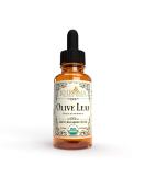 Organic Olive Leaf Liquid Extract - 2 oz Glass Bottle - 30 Servings | Khroma Herbal Products - Buy Online on GoSupps.com