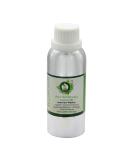R V Essential Pure Chaulmoogra Carrier Oil 630ml (21oz)- Hydnocarpus Wightiana (100% Pure and Natural Cold Pressed) - Buy Online on GoSupps.com