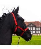 Premium Adjustable Horse Halter for Warmbloods & Thoroughbreds - Safe Tear-Resistant Red - Ideal for Stable & Pasture Use - Buy Online on GoSupps.com