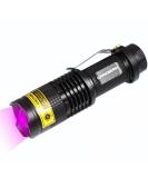 Darkbeam UV Flashlight 395nm - Portable Black Light Detector for Pet Stains & Dog Urine | Mini LED Flashlight | 1 Pack - Buy Online on GoSupps.com