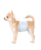 Flying Paws Disposable Dog Diapers for Males | Super Absorbent & Soft Male Wraps for Marking & Incontinence | Blue/White M - Buy Online on GoSupps.com