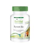 Buy Fairvital System Six Vegan Capsules - 120 Count | Chromium & Garcinia Cambogia for Weight Management - International Shipping Available - Buy Online on GoSupps.com