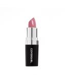 COVERGIRL Continuous Color Lipstick Smokey Rose 035, .13 oz (packaging may vary) Smokey Rose 035 0.44 Fl Oz (Pack of 1) - Buy Online on GoSupps.com