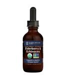 Global Healing Organic Elderberry & Echinacea Tincture | Immune Support for Adults & Kids | Vegan Non-GMO Antioxidant Formula | 2oz - Buy Online on GoSupps.com