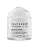 Buy Alpyn Juneberry & Vitamin C Hydrating Cream Cleanser - Exfoliating Cleanser for Soft Smooth Skin | 3.9 oz | International Shipping Available - Buy Online on GoSupps.com