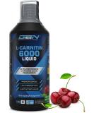 L -Carnitine 6000 Liquid - 1000 ml - extra high -dose with 6000 mg pure L -carnitine per daily portion - Amino workout drink - delicious taste (Cherry Madness) - vegan - Buy Online on GoSupps.com