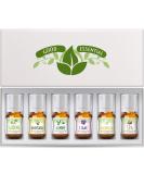 Fragrance Oils Set of 6 Scented Oils from Good Essential - Gardenia Oil, Lilac Oil, Honeysuckle Oil, Jasmine Oil, Magnolia Oil, Spa Oil: Aromatherapy, Perfume, Soaps, Candles, Slime, Lotions! - Buy Online on GoSupps.com