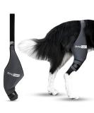 Ortocanis Knee Brace for Dogs - Right Hind Leg Size S | Cruciate Ligament Patellar Luxation & Osteoarthritis Support - Buy Online on GoSupps.com