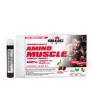 Buy BWG Amino Muscle Complex Formula - Vitamin B6 & Cherry 20 x 25ml Liquid Ampoules 500ml - International Shipping Available - Buy Online on GoSupps.com