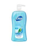 Dial Body Wash, Spring Water, 32 Fluid Ounces - Buy Online on GoSupps.com