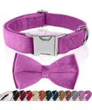 Shop Asvin Velvety Dog Collar - Soft Multi-Colored & Removable for Weddings Birthdays & Parties | Comfortable International Shipping - Buy Online on GoSupps.com