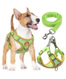 Rennaio No Pull Dog Harness & Leash Set - Adjustable Puppy Harness with 2 Linen Clips for Small & Medium Dogs - Ultra Comfortable - Green XL - Buy Online on GoSupps.com