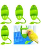 Youngsay 4-Piece Sepia Shell Bracket Set | Portable Plastic Bowls for Birds | Ideal for Serving Fruits & Vegetables (Green) - Buy Online on GoSupps.com