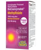 Natural Factors Methylfolate 1000 mcg - 60 Quick Melt Tablets for Optimal Support - Buy Online on GoSupps.com