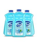 Dial Antibacterial Liquid Hand Soap Refill, Spring Water, 52 Fluid Oz, 3 count (Pack of 1) - Buy Online on GoSupps.com