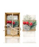 Buy PEARLWORLD Handmade Christmas Gift Soaps - Natural Essential Oil Hand & Body Care for All - Buy Online on GoSupps.com