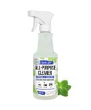 Mighty Mint All-Purpose Cleaner - Non-Toxic Natural Peppermint Spray for Home & Kitchen | 16oz - Buy Online on GoSupps.com