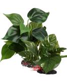 Artificial aquarium plants decoration 2 pieces (23cm + 18cm high) plastic plants aquarium artificial aquatic plants aquarium plants large for aquarium at home office office - Buy Online on GoSupps.com