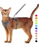 Buy Supet Cat Dishes & Line Set for Fleeing Kittens | Premium Cat Crockery - International Shipping Available - Buy Online on GoSupps.com