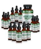 NutraMedix Cowden Support Program Month 2 - Bioavailable Herbal Detox Protocol Including Banderol Burbur-Pinella Samento Cat's Claw Tincture & More - Supports Immune System (15 Piece Set) - Buy Online on GoSupps.com