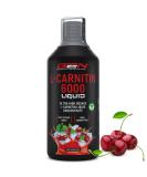 L -Carnitine 6000 Liquid - 1000 ml - extra high -dose with 6000 mg pure L -carnitine per daily portion - Amino workout drink - delicious taste (Cherry Madness) - vegan - Buy Online on GoSupps.com