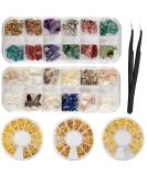 Buy Niceneeded Nail Art Crushed Shell Seashell Set - Irregular Abalone Slices & 3 Shell Sea Studs with Tweezers for Stunning Nail Designs - Buy Online on GoSupps.com
