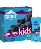 Skout Organic Blueberry Blast Real Food Bars for Kids (6 Pack) | Organic Snacks for Kids | Plant-Based Nutrition, No Refined Sugar | Vegan & Paleo | Gluten, Dairy, Grain, Peanut, Tree Nut & Soy Free - Buy Online on GoSupps.com