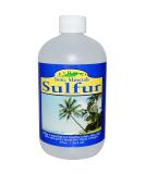 Eidon Ionic Minerals Sulfur 18 Ounce - Premium Liquid Sulfur Supplement for Healthy Living | Best International Shipping - Buy Online on GoSupps.com