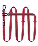 Blucelle Strong Dog Leash 3m - Robust 360 Carabiner for Large Dogs up to 100kg | Adjustable Freehand Leash for 2 Dogs | Durable Red Design - Buy Online on GoSupps.com
