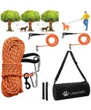 Loqatidis 3-in-1 Dog Leash | 50/100ft Portable Trolley System for Training & Outdoor Adventures | Reflective Rope for Camping & Parks | Perfect for 2 Dogs - Orange - Buy Online on GoSupps.com