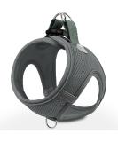 Joyal Reflective Soft Padded Dog Harness - Breathable Air-Mesh for Cats & Puppies (XXXS Gray: 27-31cm) - Buy Online on GoSupps.com