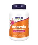 Now Foods Acerola 4:1 Extract Powder 6 oz - Natural Vitamin C Boost - Buy Online on GoSupps.com