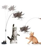 Sunshine Smile Cat Toys Set | Interactive Springs & Treats for Cats & Dogs - Perfect Pet Playtime - Buy Online on GoSupps.com