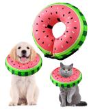 Buy Inflatable Dog & Cat Recovery Collar | Adjustable Buckle | Leak Protection for Post-Operation Care - Sizes S (12.7cm-20.3cm) - Buy Online on GoSupps.com