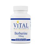 Vital Nutrients Berberine 500mg - Supports Overall Health, Regulates Bowel Function, Maintains Normal Triglyceride Levels - 60 Vegetarian Capsules - Buy Online on GoSupps.com