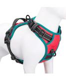 Phoepet 2019 No Pull Dog Harness - Reflective Adjustable Vest with Training Handle & Dual Metal Hooks - Medium Red | Best for Comfortable Outdoor Adventures - Buy Online on GoSupps.com