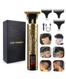 Men's Professional Hair Clippers Kit - Rechargeable Waterproof Trimmer with T-Blade for Close Cutting (LED- Statue of Liberty) - Buy Online on GoSupps.com
