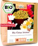 Cistus tea - Cistus incanus tea - organic rockrose herb cut (1000g) 1 kg (1 pack) - Buy Online on GoSupps.com