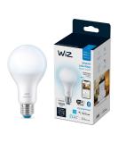 WiZ Connected Daylight High 1600 Lumen 100W A21 Smart WiFi Light Bulb  Dimmable 5000K  Compatible with Alexa and Google Home Assistant  No Hub Required  1 Bulb A21 Daylight (5000k) 1 Count (Pack of 1) - Buy Online on GoSupps.com