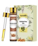 Aoruilia 10ml Frankincense Essential Oils - 100% Pure Natural Frankincense Oil for Diffuser for Home Aromatherapy Relax Spa Yoga Soaps & Candles Making Frankincense 10 ml (Pack of 1) - Buy Online on GoSupps.com